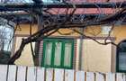 Casa batraneasca si teren de vanzare: Silistraru, Braila - 4