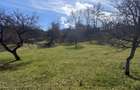 Teren intravilan 2330 mp, comuna Bran, sat Sohodol