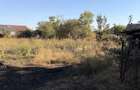 Casă mobilată + 3.000 mp teren | 55 m front | 1 km de Dunăre Rast, Dolj