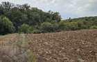 Teren 4070 mp in Scrovistea la padure si lac - 2