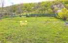 Vând 2parcele ,4265 mp,2804 mp extravilan Transapuseana, sat Măcărești - 5
