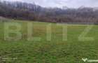 Teren superb 2.500 mp in Nicula lini?te, natura ?i p - 5
