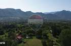 Teren 3,000mp Predelut / Strada Pe Tarina