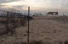 Vand teren in zona Petrom ie?ire spre ?ura Mare - 3