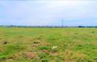 Ocazie ! Eforie Nord 3 Loturi 517 Mp. 19.500 Euro Ideal Investitie ! - 8
