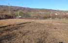 Parcela de pamant 800mp2, intravilan, in sat Armeni, jud. Sibiu - 1