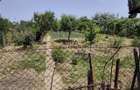 Proprietate spatioasa de vanzare in Gaesti, Dambovita - ideala pentru - 18