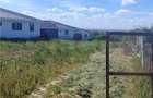 RECO Teren intravilan Paleu - 1