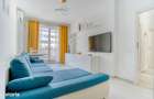 Apartament premium 2 Camere Carol City Parc - langa Parcul Carol - 3