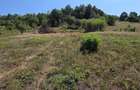 De vanzare teren intravilan 4.903 mp,sat Lunca 12 km Brad | Asfalt + autoriza?ie construire - 9