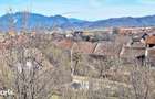 Comision 0%! Teren superb de 17000mp la 5 min de Castelul Bran, 13 eur - 7
