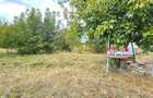 Teren intravilan Manastirea, Buftea, 500mp sau 877mp, 0% comision - 12
