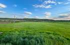 Teren 1.1 Ha Intravilan Sarca Ia?i la E85 E583 DN28 PUZ Aprobat - 6