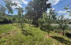 Cabana 100mp cu 30 ari teren 160000eur neg - 3