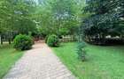 Apartament 2 camere de inchiriat Central Park - 1