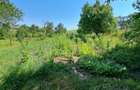 Vand urgent casa la 18km de Sibiu, sat Cornatel - 5