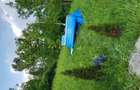Teren intravilan Slanic Prahova 611mp - 2