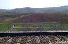 vand 5800 mp teren sat Livada com iclod jud cluj - 4