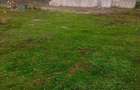 Casă cu 3 camere cu Teren 2500 Mp în Valea Argovei - 3