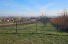 Casa cu teren de 46 ari, la 20 km de Baia Mare (Buzesti) - 2