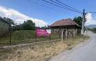 GRADINA BUNICII DE ODINIOARA,DE VANZARE -PAPAUTI,COVASNA. - 11