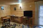 Inchiriez apartament cu 1 camera 50 mp Tatarasi - 2