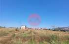 Teren Costinesti 1000 mp, Aproape de Plaja si de Nibiru, Ide - 7