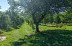 Terenul pe care se clădește visul tău – Tocile, Sibiu - 11