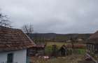 Casă cu 3 camere cu Teren 3629 Mp în Boian - 9
