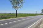 Teren agricol de vanzare 2 ha,  stradal la asfalt  pe  DN 24 TISITA - TECUCI - 5