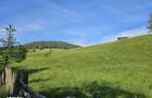 Teren intravilan de vanzare in Bucovina zona Breaza - 4