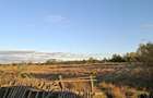 TEREN INTRAVILAN LA 2 KM DE PRIMARIA Campulung Muscel * 5000 MP Intravilan * Stradal * Accept schimb