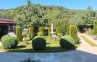 Vila in sat toplita com malureni arges - 2