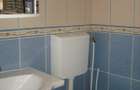 Apartament 2 camere de inchiriat proprietar - Dristor - 16