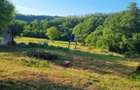 De vanzare proprietate deosebita in judetul Bihor Comuna Orvisele - 4