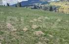 Teren in Vatra Dornei, str Rosu, 8450 mp, extravilan + intravilan - 15