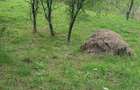 Vand teren intravilan 2900 mp
