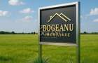 BG136-Teren Agricol 53 ha comasat-DJ 593A-Jud.Timis Peciu Nou - 3