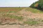 Teren Petrechioaia,Afumati 25000mp2 ,zona cu potential,ideal pt hale ,case,tel 0723858278 40euro mp - 1