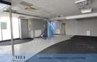 Spatiu comercial/showroom, 115 mp, str. Gh. Doja - 3