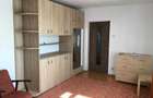 Apartament cu 2 camere - Piata Delfinului - 5