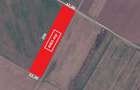 Teren 4465 mp Str. Nuferilor, Vidra - Berceni, Ilfov - 3