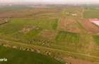 Teren intravilan 6150 mp Sanleani, jud. Arad