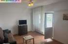 Apartament 2 camere de inchiriat : 9 Mai-(Frasinet) - 1