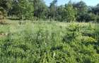 Proprietate de vanzare, 41.16 mp, teren 2.111 mp, zona Sandulesti - Ch - 9