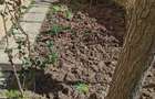 Vand Apartament 3 camere semidecomandat