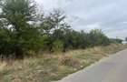 Teren Intravilan 1000 mp Jilava -Str.Garii,Asfalt ,Toate Utilitatiele - 6