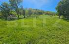 Teren extravilan, 90 ha, padure si faneata, zona Inuri - 3