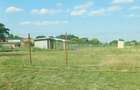 Proprietar, vand teren intravilan Bobda 1439 mp - 2