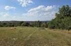 Proprietar | Teren intravilan 3.211 mp Vechea Chinteni | Asfalt, Utilita?i, Internet Fibra, Panorama - 2